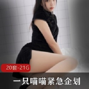 一只喵喵梓超高颜值御用姬紧急企划合集，20套资源总大小21.1G！