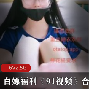 91视频精品视频合集