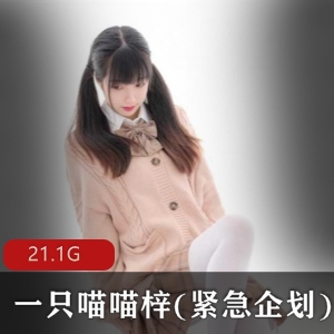 美腿小仙女喵喵梓紧急企划合集：清纯可爱高颜值服装诱惑，21.1G视频大放送！
