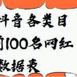 KOL网红数据表分析服务