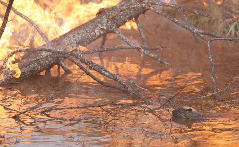 绝妙纪录片：《围困城堡》