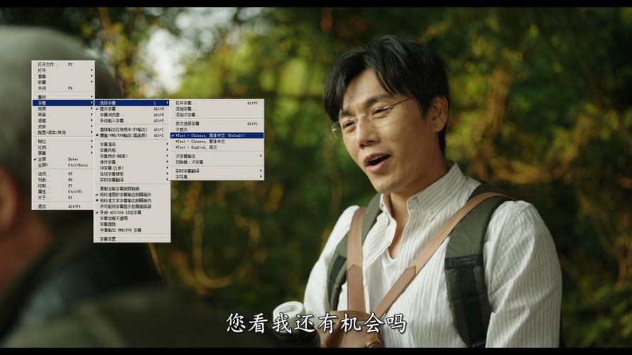 4K视频:带你去见我妈,DDP2.0、AAC、H265编码,HDSWEB、阿里云盘、极速在线查看,视频原画倍速播放
