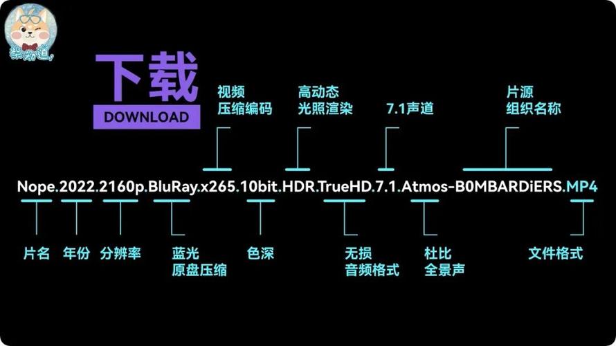 4K视频:带你去见我妈,DDP2.0、AAC、H265编码,HDSWEB、阿里云盘、极速在线查看,视频原画倍速播放