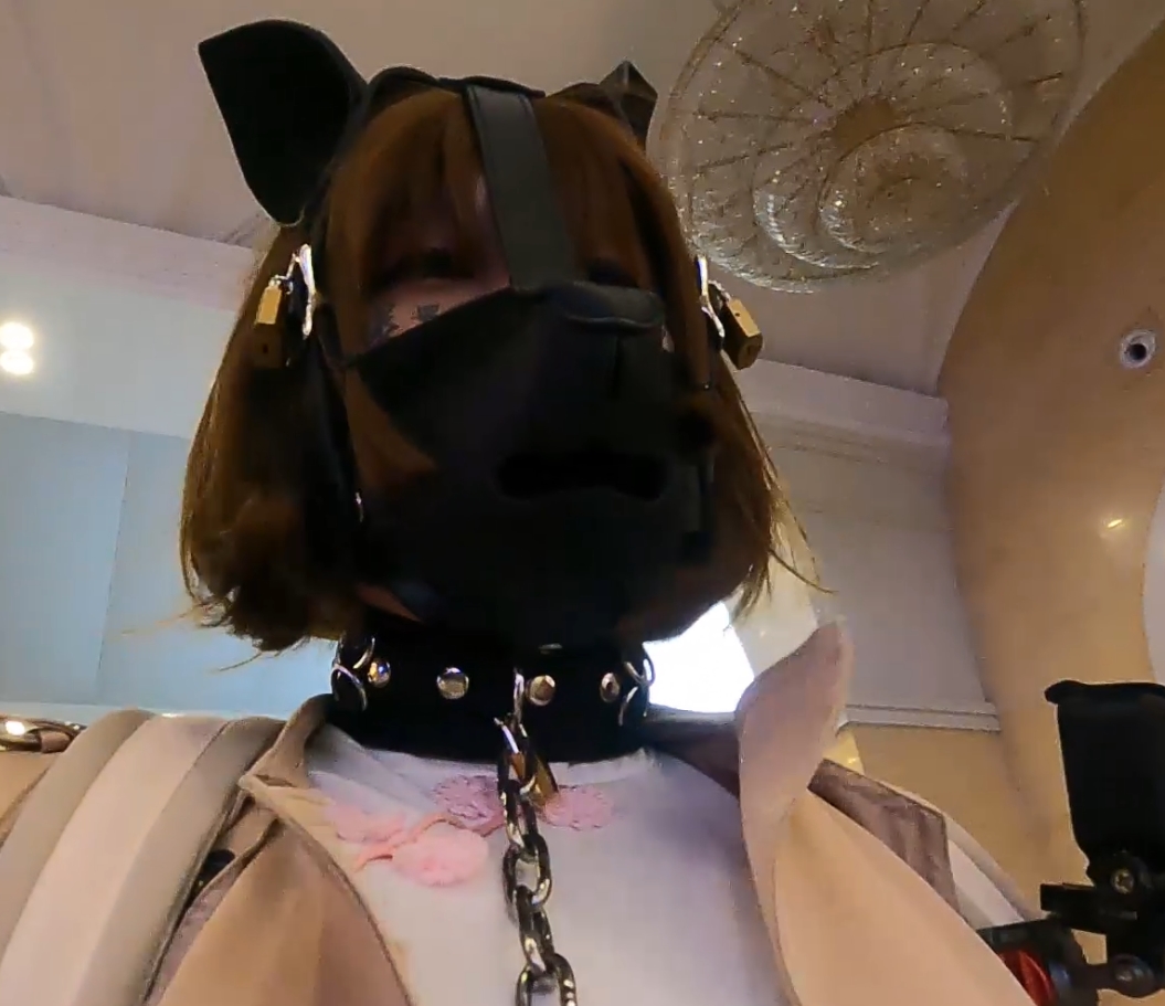 满月之夜恶趣味视频合集,12v+17.9G,齐全收藏,闪现购买