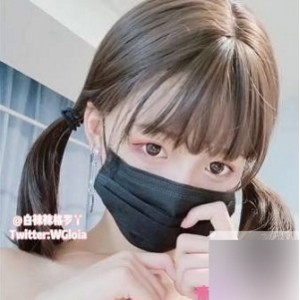 白袜、格罗丫和书记舞