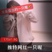 超萌妹子网红抖音推特-175V1.9G80W粉丝多人游野外互动