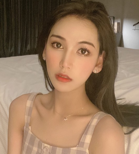 网红TS李智贤精品整合推特资源