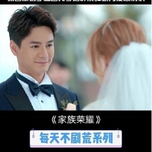 家族荣耀：1-8季全集，国粤双语，4K+，中字，张智霖等联袂演绎，感受家族荣耀的真实感受