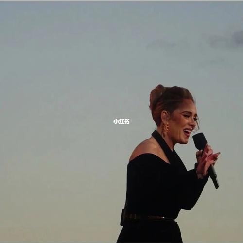 阿黛尔2021演唱会Adele.One.Night.Only:视频、原画、倍速观看体验