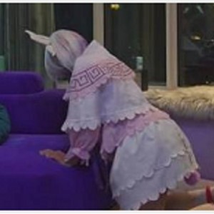 喵喵是妹子,小女仆康纳是它的儿子,他们有个梦想——做全世界最大的女仆。