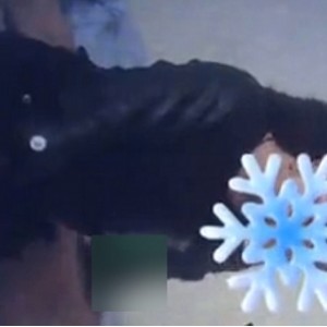 《海角老银：乱来剧情》9v1.7g全16集，收藏必备！百度/ED2K等平台热映中！