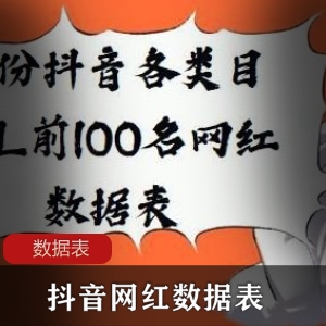 目KOL前100名网红数据表：探秘视频大小与数量背后的秘密