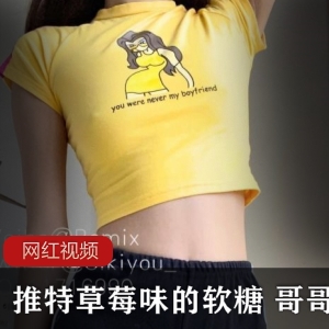 草莓味软糖作品