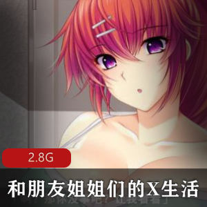 同桌镜子损友姐姐交换：PC版游戏介绍