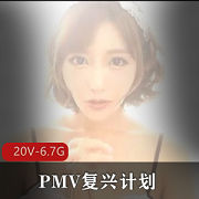 PMV复兴计划近期小合集20V-6.7G