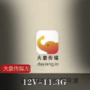 《家庭主妇、空姐与修车师傅的真实剧情：12集11.3G无删私密原档全资源视频交流型演技》