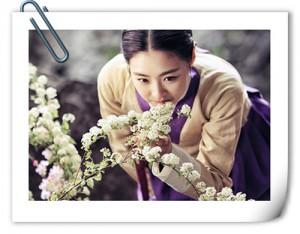 韩国古装喜剧/奇幻类型热门剧：《九家之书》