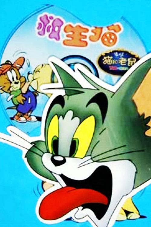 经典卡通《猫和老鼠》157集稀有修复4K蓝光TV版,中文字幕,视频原画,倍速播放,多种观看方式