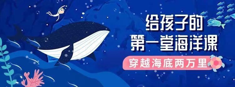 老师机资源:11小灯塔、奇妙科学、12小灯塔、奇趣生物、13小灯塔、自然地理、亲子教育、完整版、凯叔讲故事、米卡、幼儿教育、动画全集,为孩子提高学习能力及兴趣的资源网站。《老师机资源:为孩子增加学习能力及兴趣的资源网站》