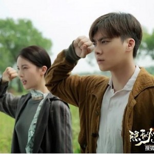 一网打尽：全网精彩热播电视剧