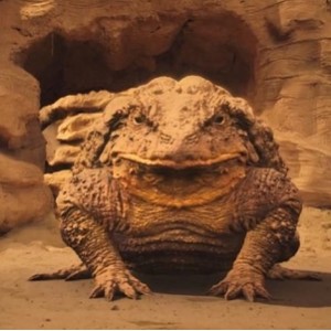 古墓寻宝，激战毒兽！最新奇幻片： 《药王天棺·重启》（2022） 1080P