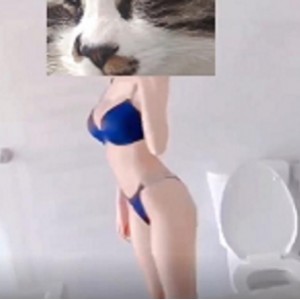 最新两大九妖大神-顶级网红女主播长腿黑丝超美女神