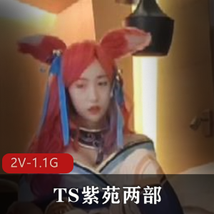 TS紫苑：跨性别者的挣扎与支持[2V-1.1G]