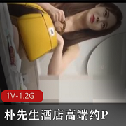朴先生酒店高端约P-VIP明星颜值56分钟探花作品下载观看
