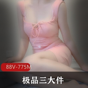福利姬精选三大件，高颜美腿网红少女身材女仆