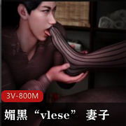 媚黑“vlese”妻子3V-800M