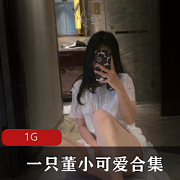 董小可爱合集：网红玉女世界，微博土豪绅士清纯反差视频