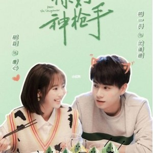 《2022你好神枪手：4K画质、内嵌官方中文字幕、汉语普通话配音》