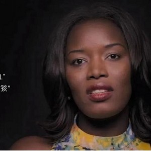 《21世纪贫穷问题：砖家的解决方案》