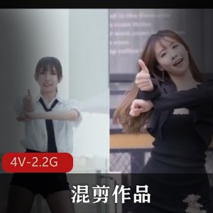 高能精品！B站舞蹈区PMV混剪，时长2.2G，包含tiktok风格，韩国抖N舞，必看！