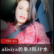 拳击手套Alisiya拳击手套J掏JP水冷19V-6G