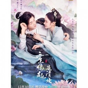 「双峰(1990-2017)：精美原画+丰富视频资源，阿里云盘+网络倍速观看」