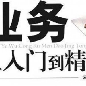 审计业务小帮手《审计业务从入门到精通》