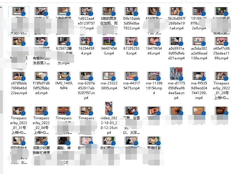 良家偷吃系列国庆特辑59部+[59v+11g][百度盘]