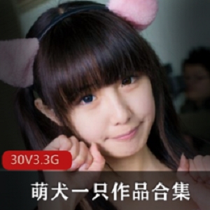 绝美美少女萌犬一只户外作品合集，30套视频3.3G，性感短裙红花花园作品