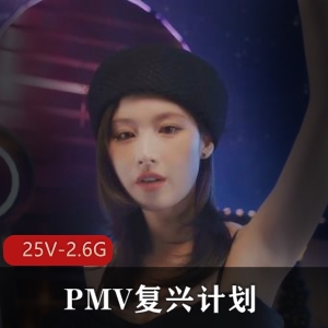 PMV复兴计划多明佛的藏经阁：韩国天团MV混剪，AI换脸，4K超清视频大小/数量