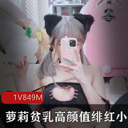 新人福利性感绯红小猫妹子照片合集，飞机场高颜值cos猫腮红诱惑，猫尾巴福利姬。