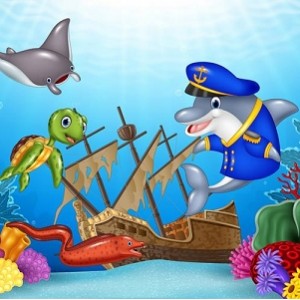 《海底动物世界：8K极致画质，分钟完爆你的视觉》