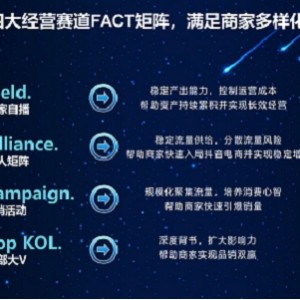 实现抖音电商梦想，全系列教学+阿里云Drive下载