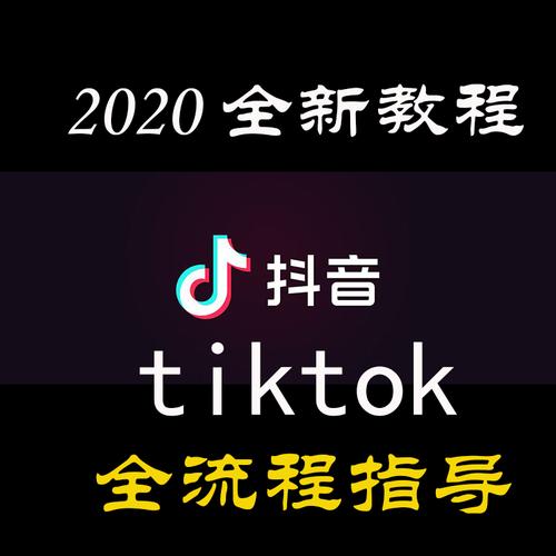 实现抖音电商梦想,全系列教学+阿里云Drive下载