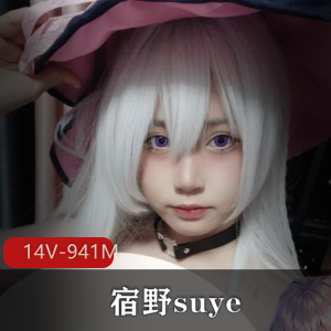 宿野suye露脸定制14部14V941M,小L莉cos角色L福利,可爱道具CC,售价不菲,下载观看!