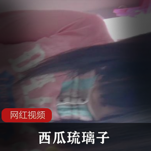西瓜琉璃子:天价学生视频合集,41部作品,5GB文件大小,2小时视频长度