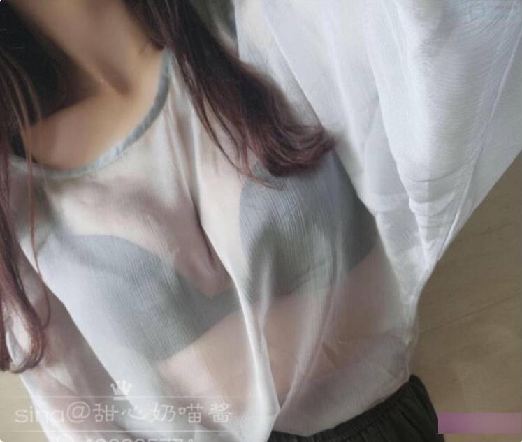 奶猫酱和PR猫性少女合集：6G视频+图片