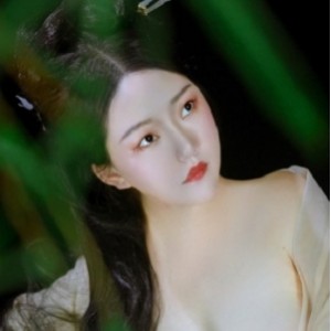 推特古风合集[5v500p+900m][百度盘]