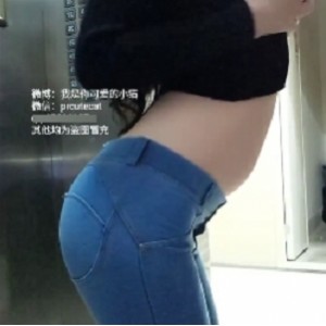 可爱小猫8GPR社百度云资源