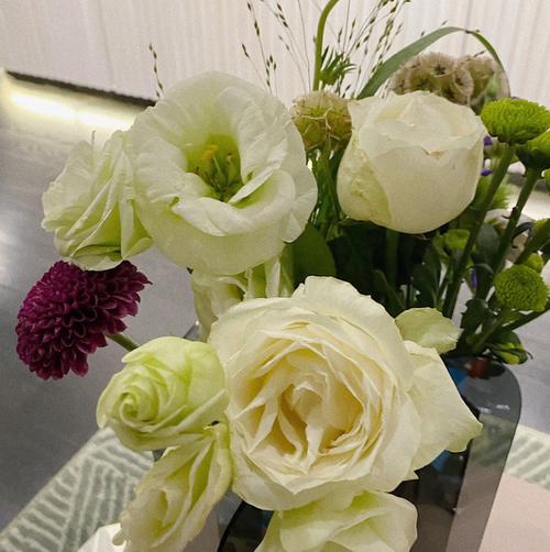 《豆瓣8.7分花束般的恋爱：极速下载、在线查看、倍速播放》